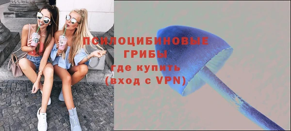 Альфа ПВП Абаза