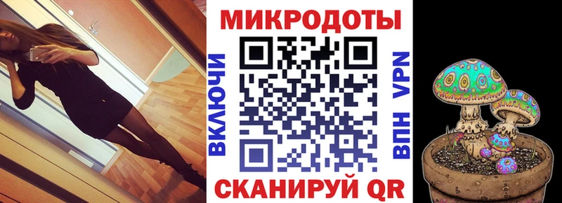 Псилоцибиновые грибы Psilocybe Берёзовка